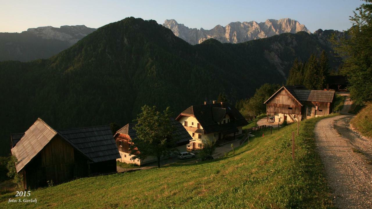 Kmetija Matk Villa Solčava Dış mekan fotoğraf