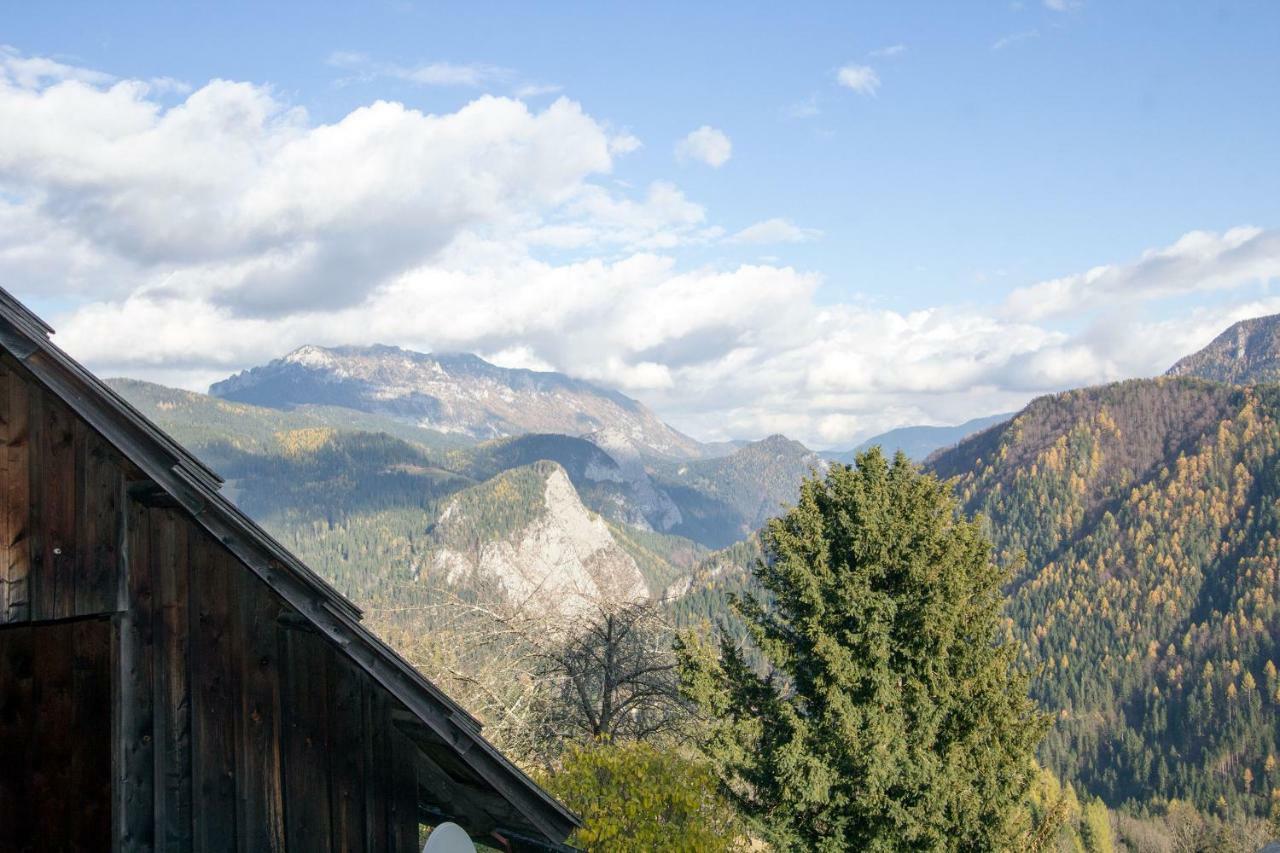 Kmetija Matk Villa Solčava Dış mekan fotoğraf
