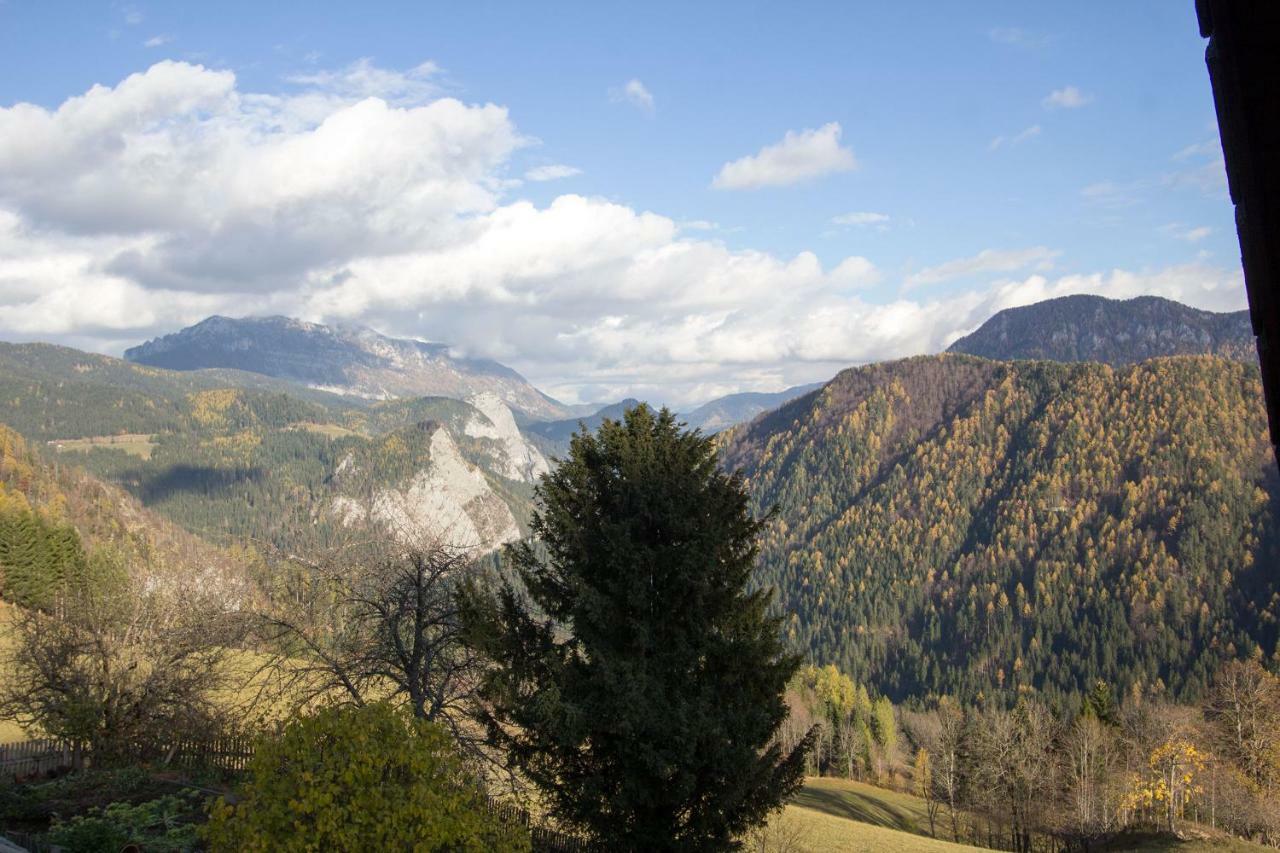 Kmetija Matk Villa Solčava Dış mekan fotoğraf