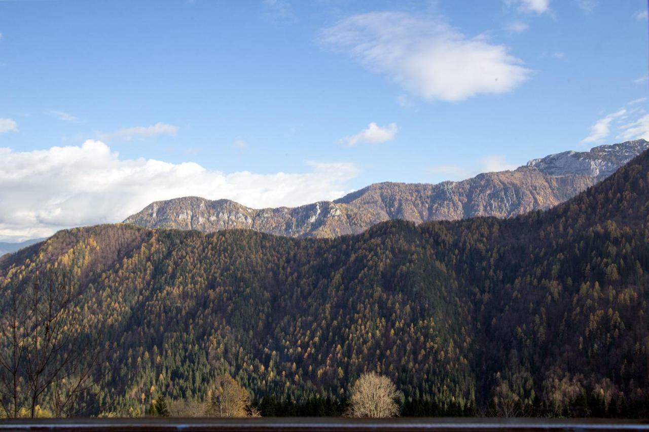 Kmetija Matk Villa Solčava Dış mekan fotoğraf