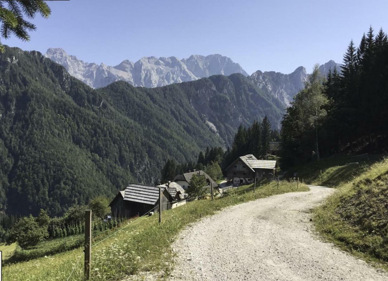 Kmetija Matk Villa Solčava Dış mekan fotoğraf